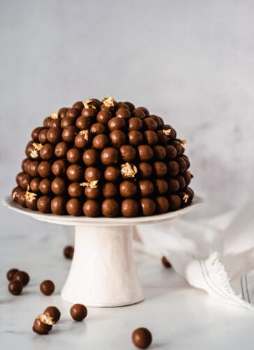 עוגת שוקולד מלטיזרס