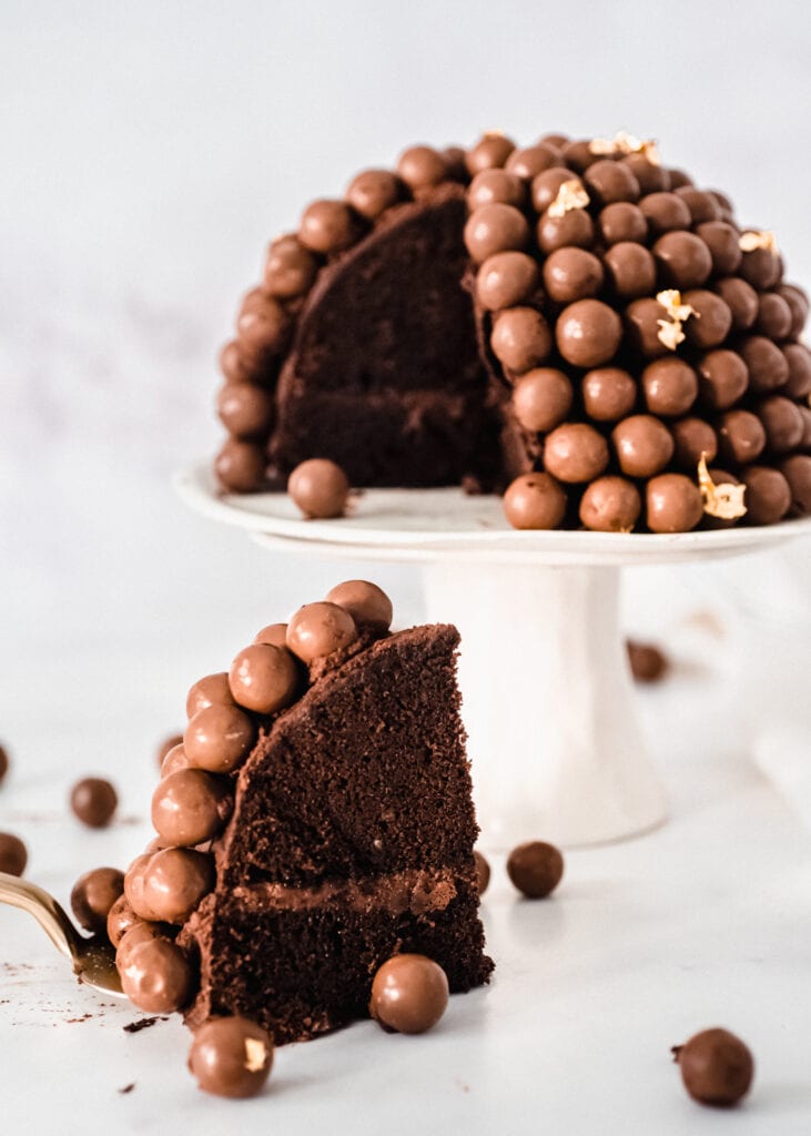 עוגת שוקולד מלטיזרס
